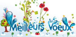 nouvel an les voeux virtuels explosent en 2009