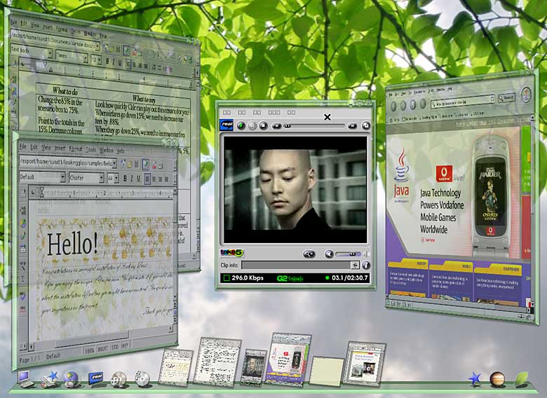 looking glass sun microsystems